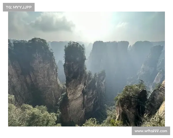 斯卢茨基晒游玩张家界视频惊叹阿凡达山自然奇迹景观让人震撼 斯卢茨基晒游玩张家界视频惊叹阿凡达山自然奇迹景观让人震撼