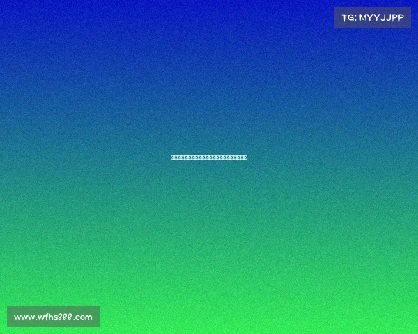 法比奥席尔瓦倾向加盟罗马但多特报价更具吸引力